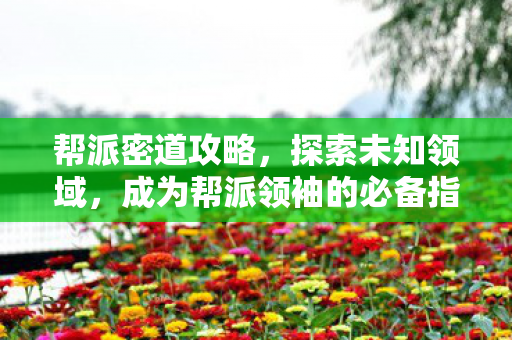 帮派密道攻略,探索未知领域,成为帮派领袖的必备指南 帮派密道攻略,探索未知领域,成为帮派领袖的必备指南