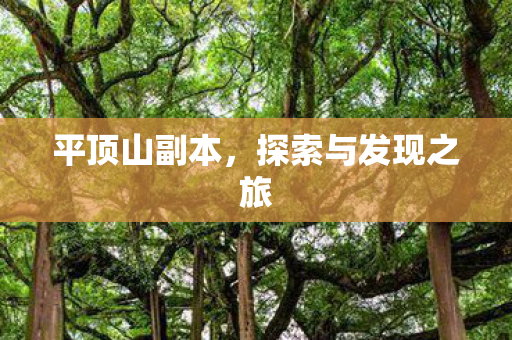 平顶山副本，探索与发现之旅