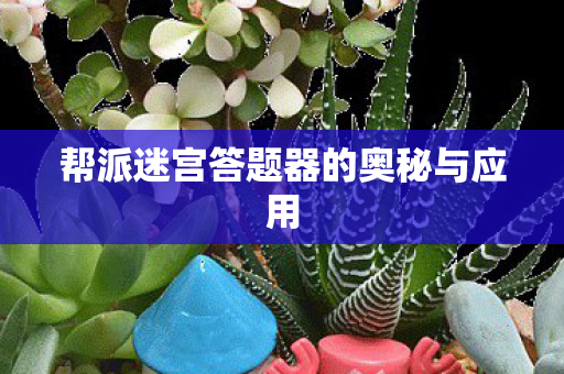 帮派迷宫答题器的奥秘与应用 帮派迷宫答题器的奥秘与应用