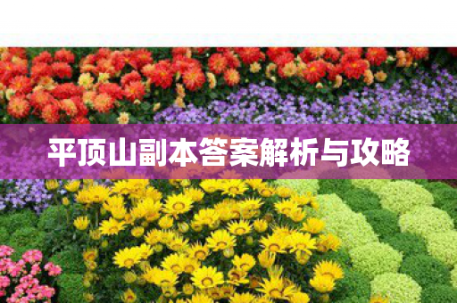 平顶山副本答案解析与攻略 平顶山副本答案解析与攻略