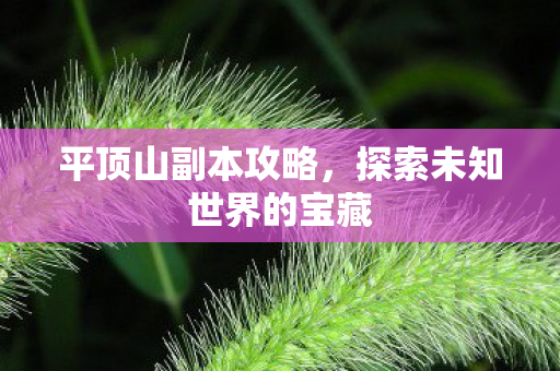 平顶山副本攻略,探索未知世界的宝藏 平顶山副本攻略,探索未知世界的宝藏