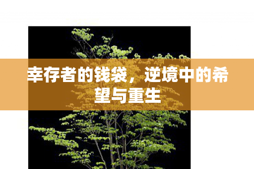 幸存者的钱袋,逆境中的希望与重生 幸存者的钱袋,逆境中的希望与重生