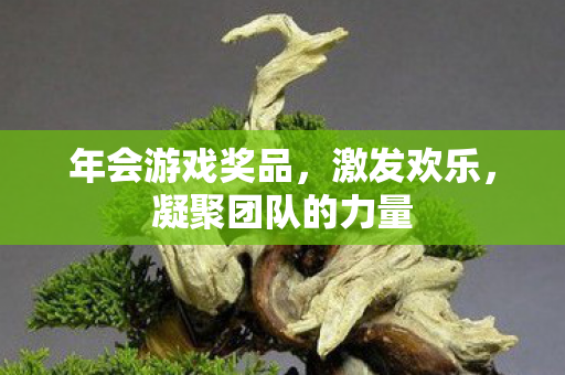 年会游戏奖品,激发欢乐,凝聚团队的力量 年会游戏奖品,激发欢乐,凝聚团队的力量