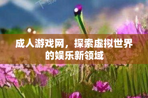 成人游戏网，探索虚拟世界的娱乐新领域