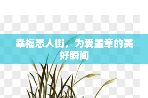 幸福恋人街,为爱盖章的美好瞬间 幸福恋人街,为爱盖章的美好瞬间