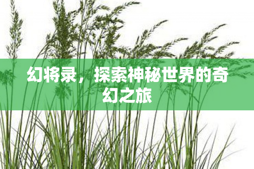 幻将录,探索神秘世界的奇幻之旅 幻将录,探索神秘世界的奇幻之旅