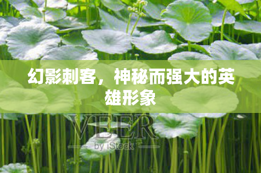 幻影刺客,神秘而强大的英雄形象 幻影刺客,神秘而强大的英雄形象
