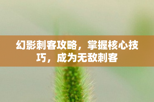 幻影刺客攻略,掌握核心技巧,成为无敌刺客 幻影刺客攻略,掌握核心技巧,成为无敌刺客