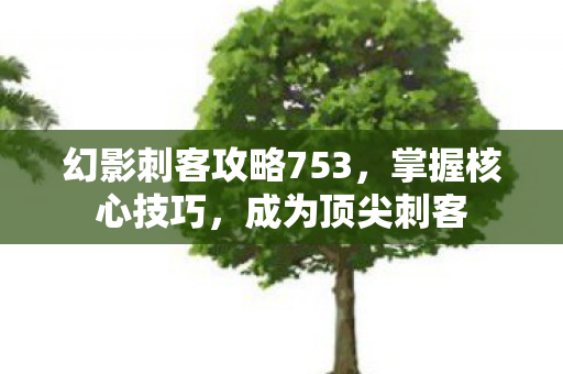 幻影刺客攻略753,掌握核心技巧,成为顶尖刺客 幻影刺客攻略753,掌握核心技巧,成为顶尖刺客