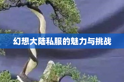 幻想大陆私服的魅力与挑战 幻想大陆私服的魅力与挑战