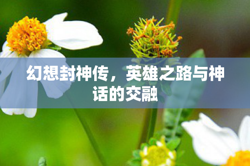 幻想封神传,英雄之路与神话的交融 幻想封神传,英雄之路与神话的交融