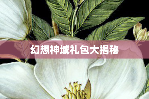 幻想神域礼包大揭秘 幻想神域礼包大揭秘