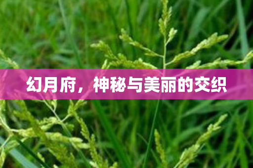 幻月府,神秘与美丽的交织 幻月府,神秘与美丽的交织