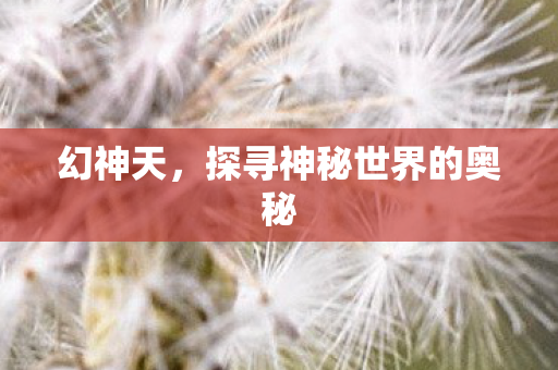 幻神天，探寻神秘世界的奥秘