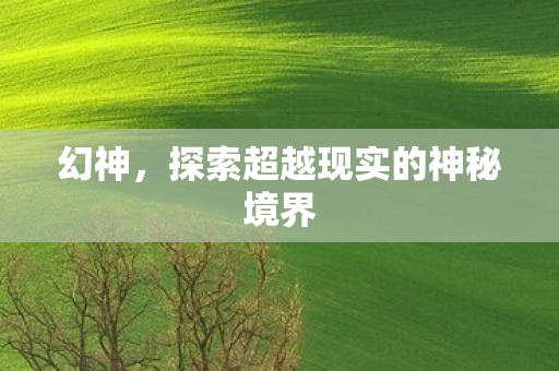 幻神,探索超越现实的神秘境界 幻神,探索超越现实的神秘境界