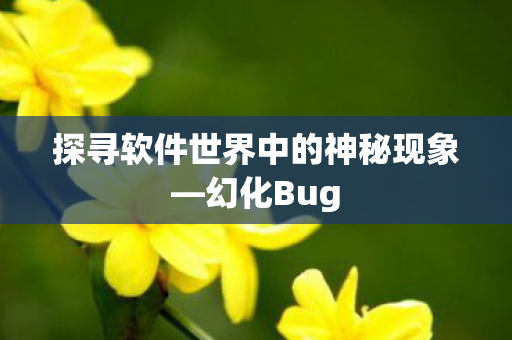 探寻软件世界中的神秘现象—幻化Bug 探寻软件世界中的神秘现象—幻化Bug