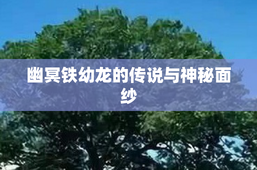 幽冥铁幼龙的传说与神秘面纱 幽冥铁幼龙的传说与神秘面纱