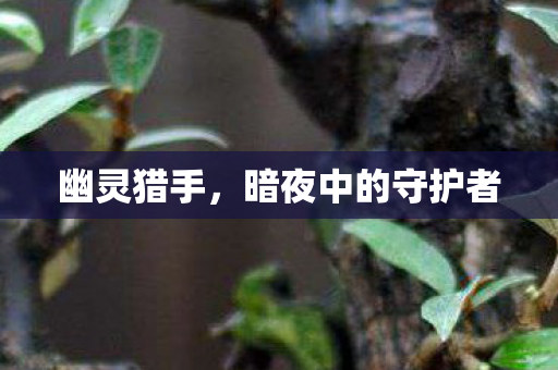 幽灵猎手,暗夜中的守护者 幽灵猎手,暗夜中的守护者