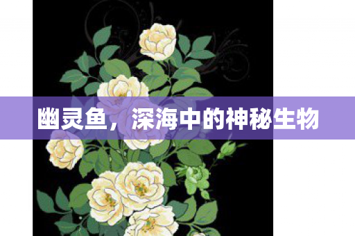 幽灵鱼,深海中的神秘生物 幽灵鱼,深海中的神秘生物
