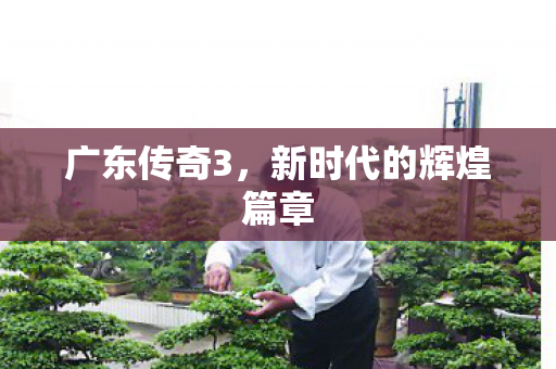 广东传奇3,新时代的辉煌篇章 广东传奇3,新时代的辉煌篇章