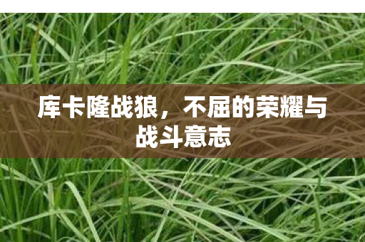 库卡隆战狼,不屈的荣耀与战斗意志 库卡隆战狼,不屈的荣耀与战斗意志