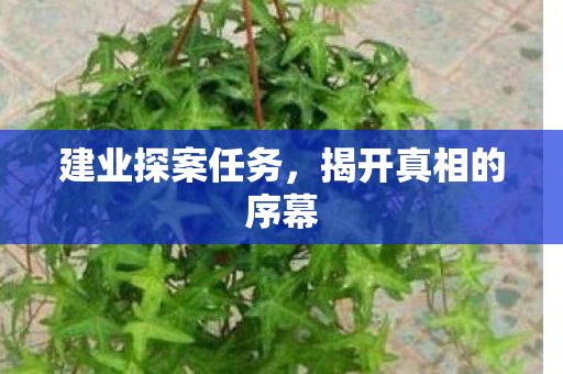 建业探案任务,揭开真相的序幕 建业探案任务,揭开真相的序幕