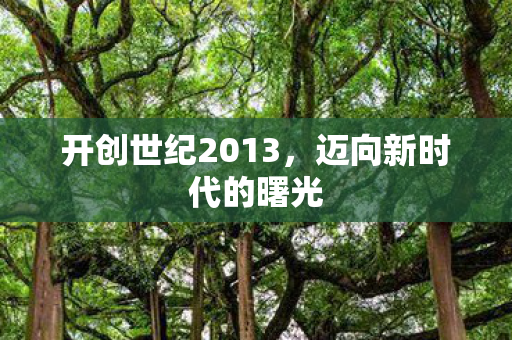 开创世纪2013,迈向新时代的曙光 开创世纪2013,迈向新时代的曙光