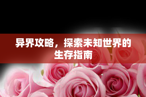 异界攻略,探索未知世界的生存指南 异界攻略,探索未知世界的生存指南