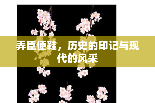 弄臣便鞋，历史的印记与现代的风采