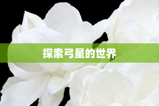 探索弓星的世界 探索弓星的世界
