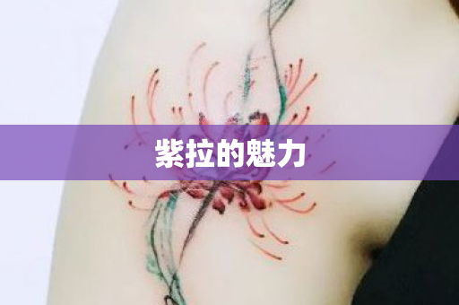 紫拉的魅力 紫拉的魅力