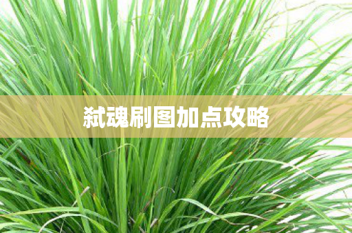 弑魂刷图加点攻略 弑魂刷图加点攻略