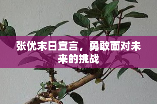 张优末日宣言,勇敢面对未来的挑战 张优末日宣言,勇敢面对未来的挑战