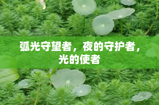 弧光守望者,夜的守护者,光的使者 弧光守望者,夜的守护者,光的使者