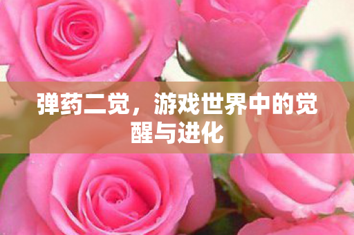 弹药二觉，游戏世界中的觉醒与进化