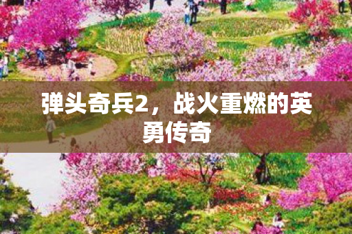 弹头奇兵2，战火重燃的英勇传奇