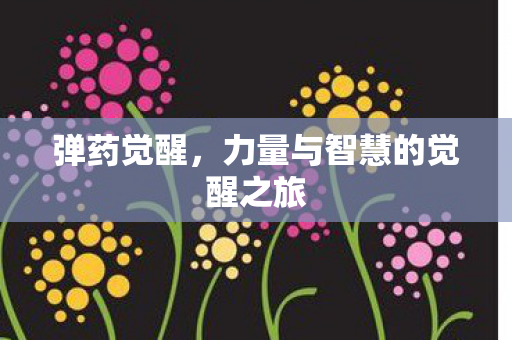 弹药觉醒,力量与智慧的觉醒之旅 弹药觉醒,力量与智慧的觉醒之旅