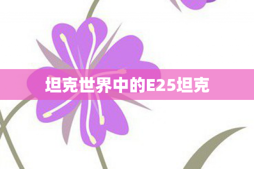 坦克世界中的E25坦克 坦克世界中的E25坦克