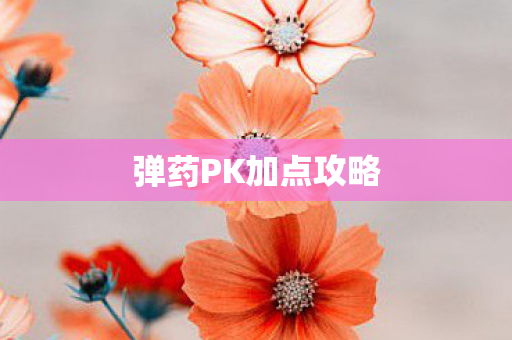 弹药PK加点攻略 弹药PK加点攻略