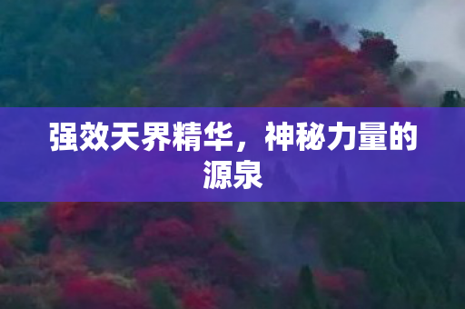 强效天界精华,神秘力量的源泉 强效天界精华,神秘力量的源泉