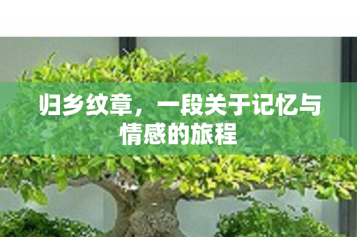 归乡纹章,一段关于记忆与情感的旅程 归乡纹章,一段关于记忆与情感的旅程