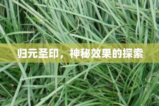 归元圣印,神秘效果的探索 归元圣印,神秘效果的探索