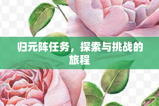 归元阵任务,探索与挑战的旅程 归元阵任务,探索与挑战的旅程