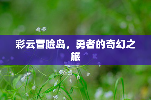 彩云冒险岛,勇者的奇幻之旅 彩云冒险岛,勇者的奇幻之旅