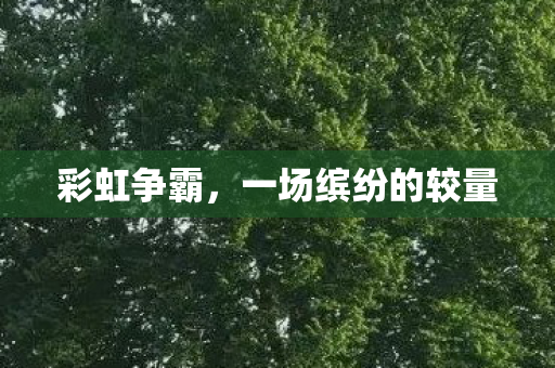 彩虹争霸,一场缤纷的较量 彩虹争霸,一场缤纷的较量