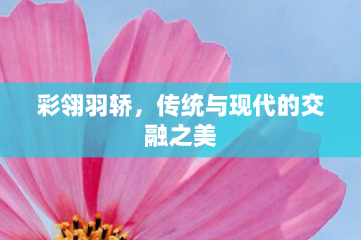 彩翎羽轿,传统与现代的交融之美 彩翎羽轿,传统与现代的交融之美