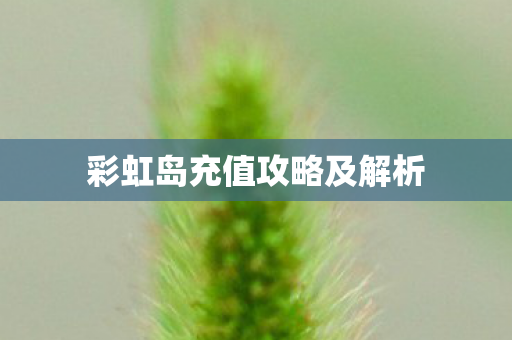 彩虹岛充值攻略及解析