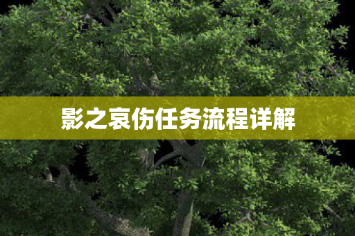影之哀伤任务流程详解 影之哀伤任务流程详解