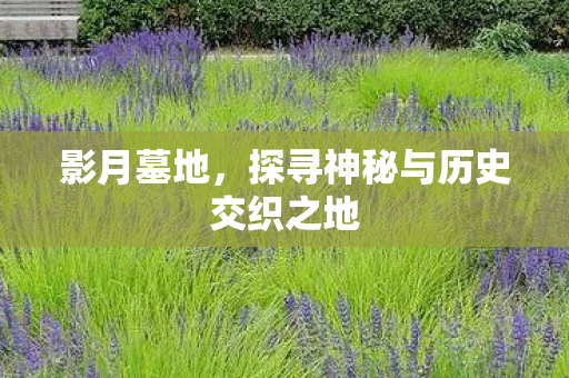 影月墓地,探寻神秘与历史交织之地 影月墓地,探寻神秘与历史交织之地