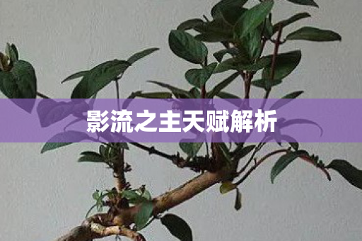 影流之主天赋解析 影流之主天赋解析